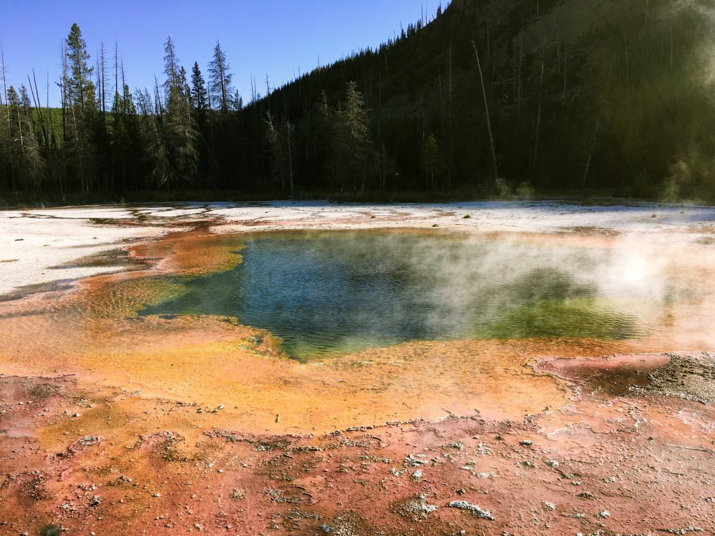 The Black Basin, Yellowstone National Park from 2 days in Yellowstone National Park