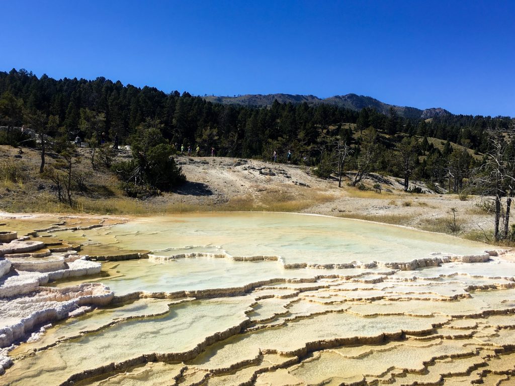 Mammoth Hot Springs, Yellowstone National Park from 2 days in Yellowstone National Park