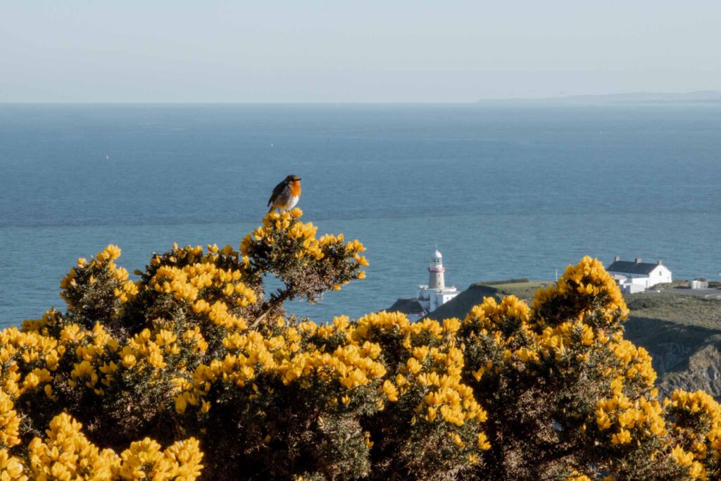 Howth, Dublin 