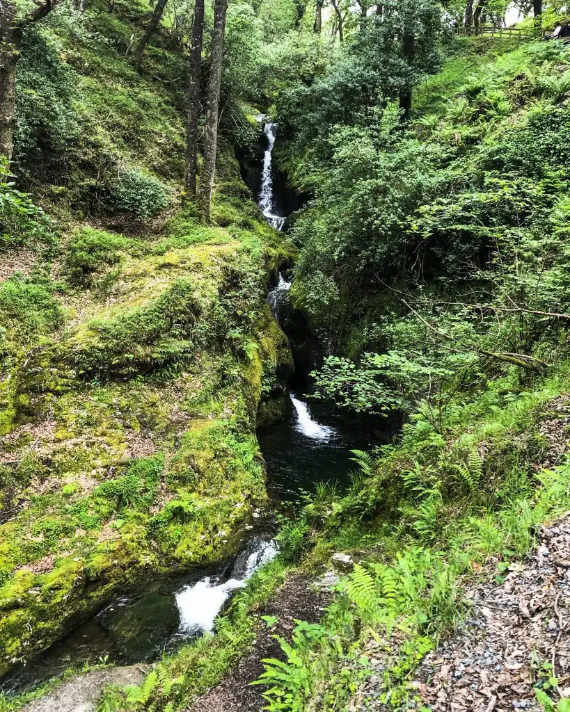 Glendalough Walks