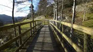 Walks in Glendalough