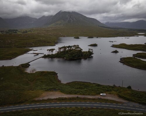 Pine Island View Connemara Galway Ireland