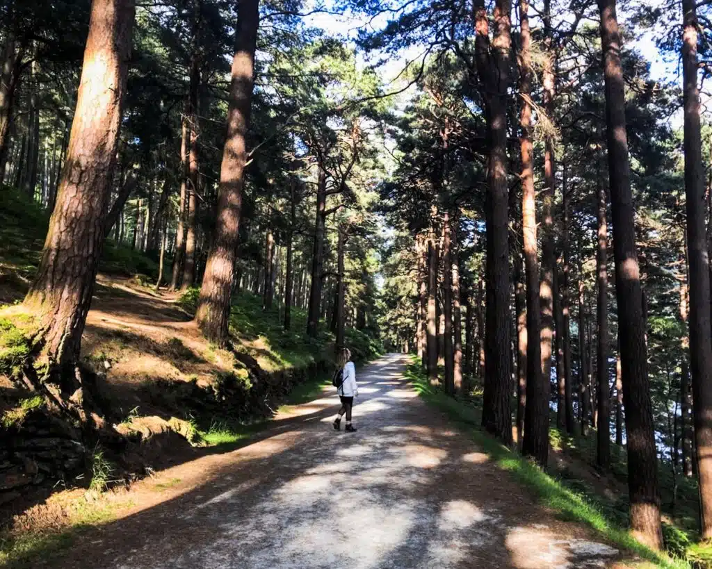 Glendalough Walks