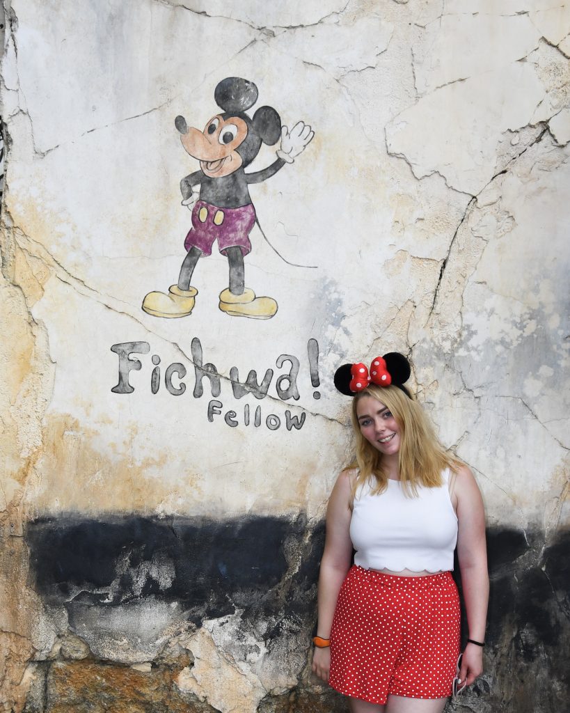 Fichwa Fellow Wall, Animal Kingdom