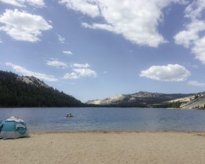 Tenaya Lake Yosemite National Park