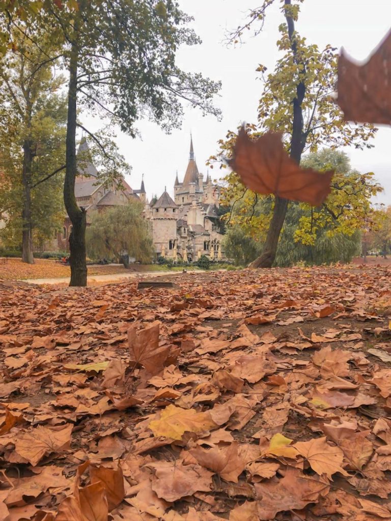 Vajdahunyad Castle in Budapest, Hungary