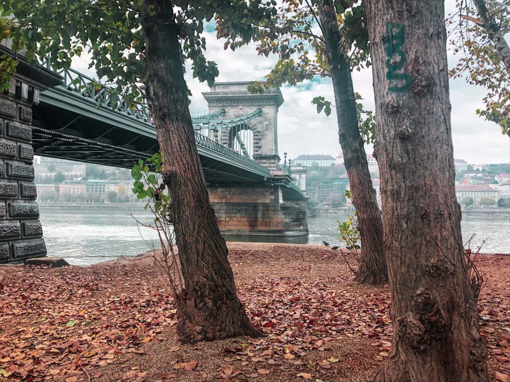 Chain Bridge from the Banks of the Danube