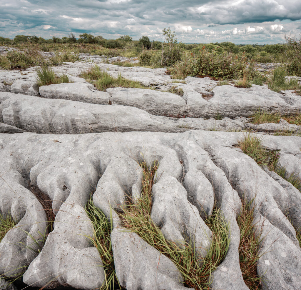 The Burren, County Calre, Ireland