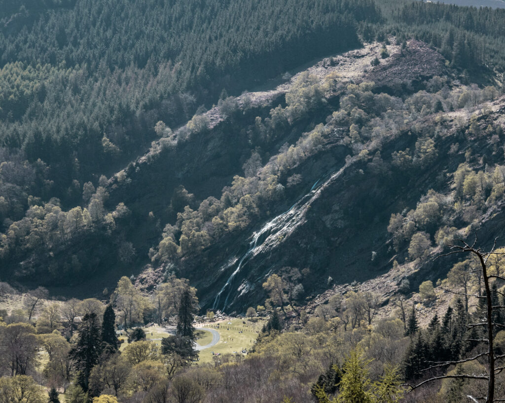 Crone Woods - Powerscourt Waterfall - Wicklow Mountains