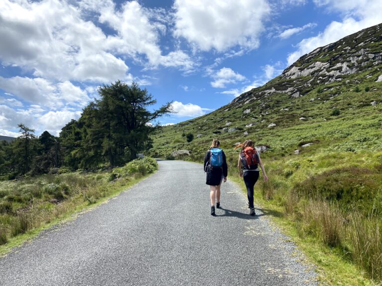 Walks in Wicklow: 15+ Beautiful Wicklow Hikes you Need to Try!