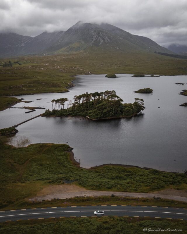 Pine Island View, Connemara, Ireland