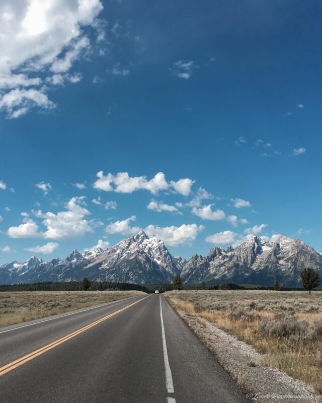 Grand Teton National Park (One of the Stops 😉)