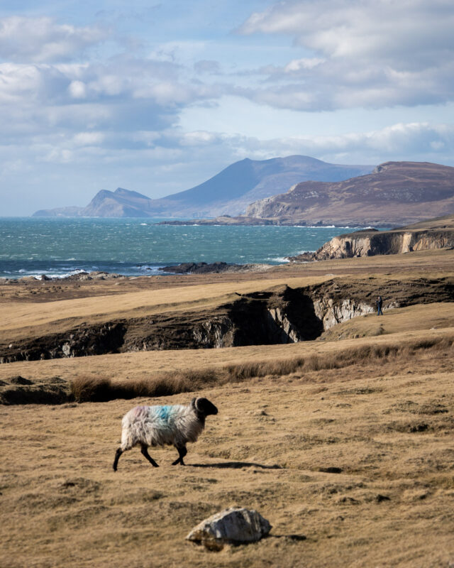 travel ireland like a local