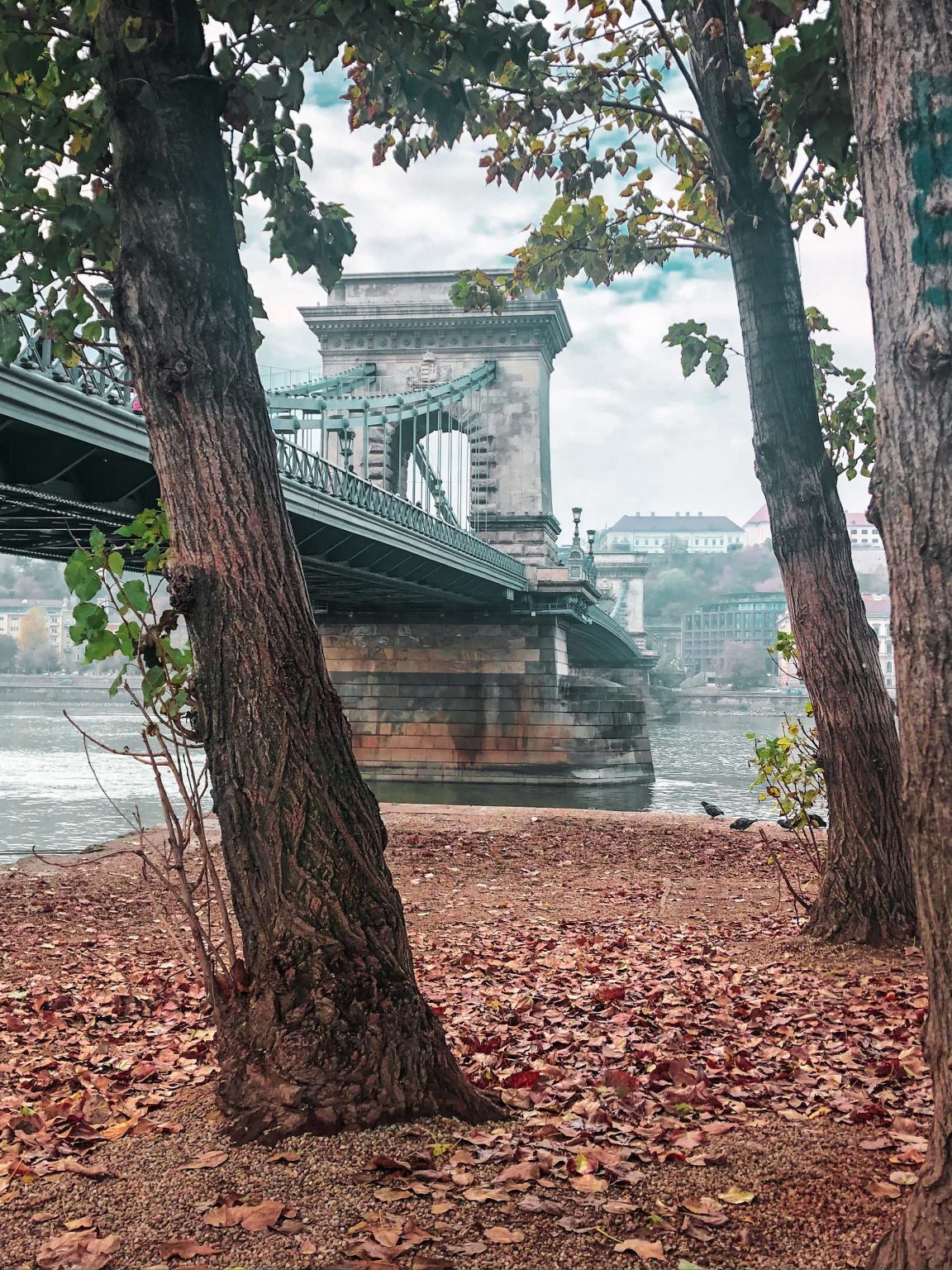 Chain Bridge from the Banks of the Danube